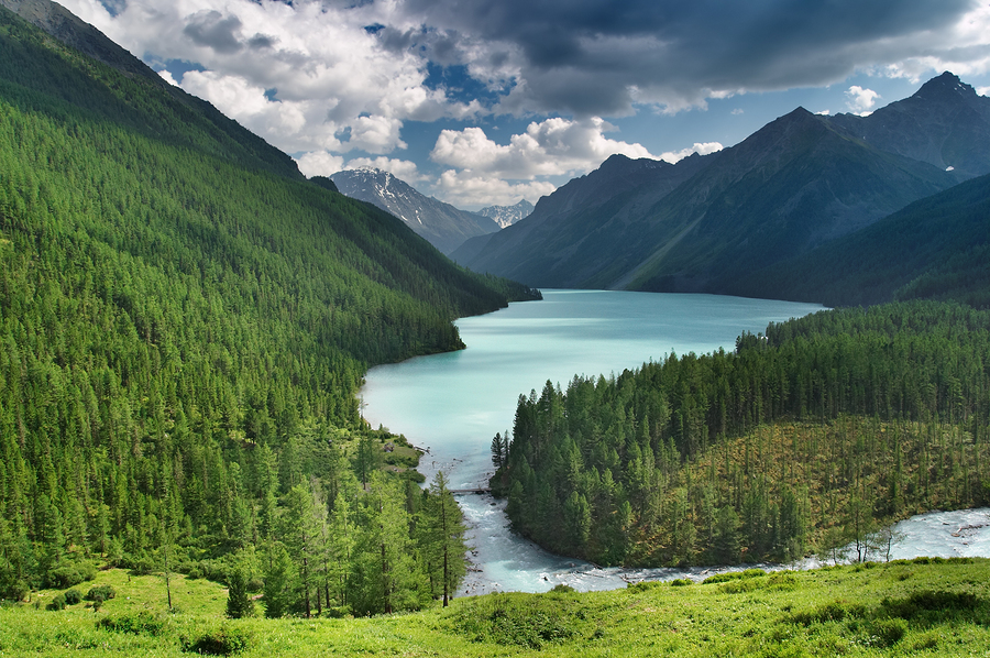 Stay tuned... Pittsburgh Classical Acupuncture